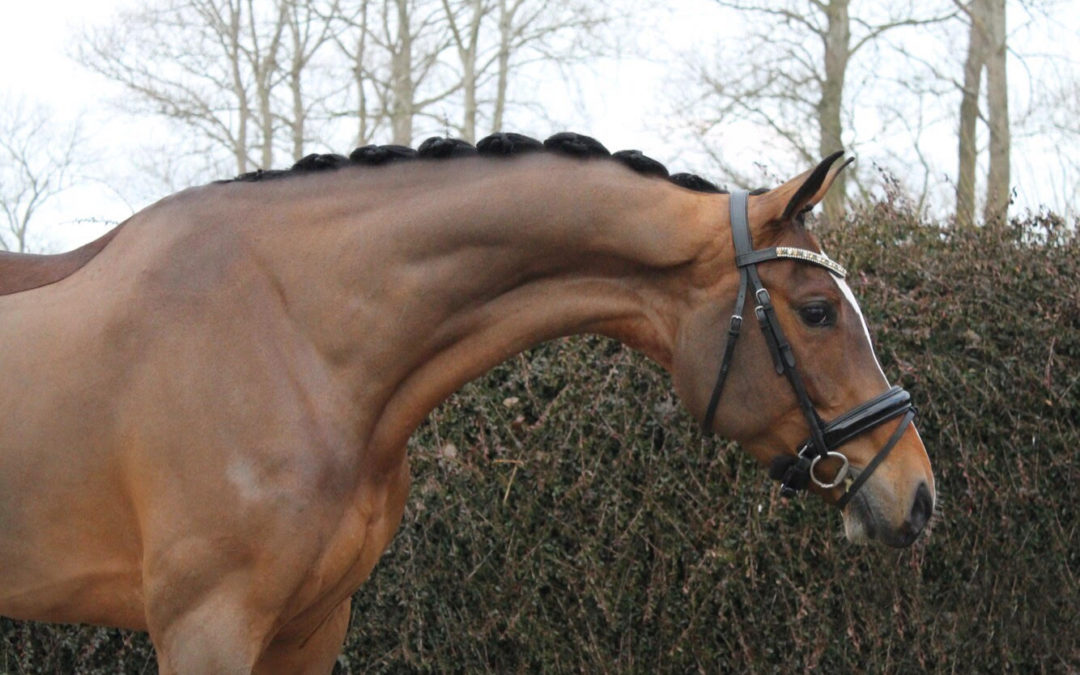 Harmonie